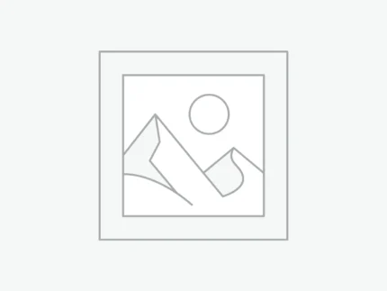 عنصر نائب Placeholder